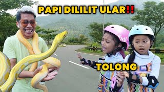 TOLONG PAPI DILILIT ULAR ALUNA DAN AMANDA LANGSUNG PANIK [upl. by Arek]