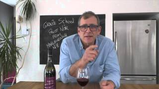 Wine grape school Pinot Noir  NZ [upl. by Eilrebmik]