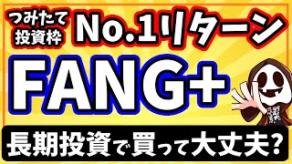 新NISAつみたて投資枠で一番リターンが高い「iFreeNEXT FANGインデックス」は長期投資で買って大丈夫なの？ [upl. by Courtland]