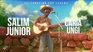 Salim Junior  Caria Ungi  Music Visualizer   Evonte Music [upl. by Feliza]