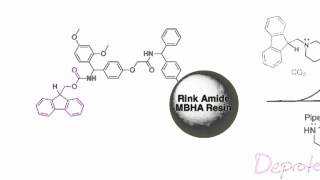 Fmoc Solid Phase Peptide Synthesis [upl. by Adnicaj441]