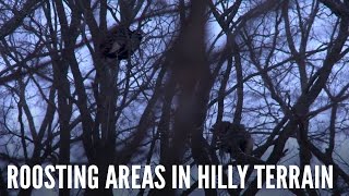 How To Find Roosting Areas For Turkeys  Spring Thunder [upl. by Iroc70]