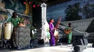 Sona Jobarteh TFF Rudolstadt 2015 [upl. by Haimorej553]