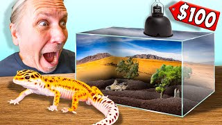 Cheap 100 Leopard Gecko Setup Tutorial [upl. by Nyl]