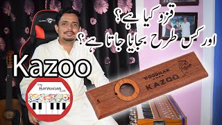 Introduction to Kazoo Instrument  URDU  HINDI  Easy Harmonium Guide [upl. by Ahsian]