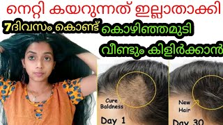 നെറ്റി കയറൽ മാറ്റാൻRegrowth Baby Hairs With in7DaysDay 31100Days Challenge വെളിച്ചെണ്ണ vit E [upl. by Asirret282]