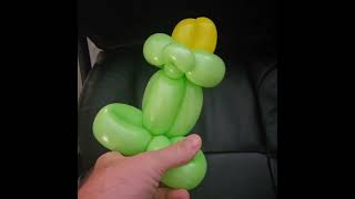 Quick balloon frog tutorial balloonartworks balloonartist balloon [upl. by Selena349]