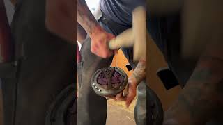 Applying a 3D pad with hoof cushion for more caudal support horse farrier shorts satisfying [upl. by Minica304]