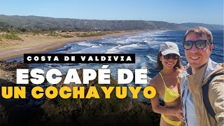 Recorriendo la SELVA VALDIVIANA y sus PLAYAS escondidas 🤫🏖️🇨🇱 Episodio 01 chile surdechile [upl. by Akieluz297]