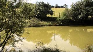 WEEK FARM BRIDESTOWE OKEHAMPTON DEVON [upl. by Ackley566]