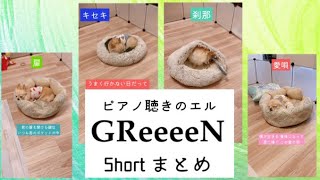 【GReeeeN】 shorts まとめ 4曲ピアノ聴きのエル [upl. by Kiona]