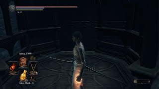 Lothric amp Lorian the Twin Princes  Ng4  No Hits Taken [upl. by Yesdnyl]