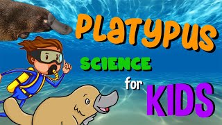 Platypus  Science for Kids [upl. by Eisen]