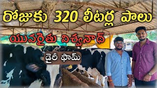 డైరీ ఫామ్ తో యువరైతు విశ్వనాథ్ సక్సెస్ స్టోరీ  రోజుకు 320 లీటర్ల పాలు పోస్తాం Bheeshma Agriculture [upl. by Suki]