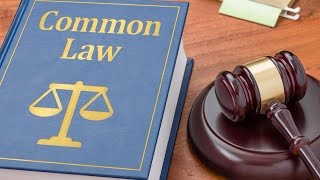 What is Common Law [upl. by Lebasy]