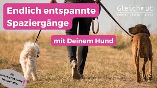 Endlich entspannte Spaziergänge [upl. by D'Arcy]