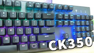 נותנת אחלה תמורה למחיר  סקירה Cooler Master CK350 [upl. by Mcmurry]