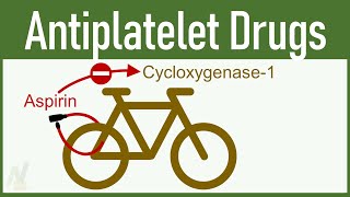 Antiplatelet Drugs Aspirin Clopidogrel etc [upl. by Joappa725]