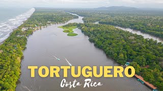 WHAT TO DO IN Tortuguero National Park Costa Rica Wildlife travel vlog 4K [upl. by Travers862]