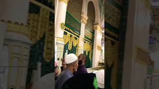 Riaz ul jannah  portion of jannah  situated between Muhammad SAW grave and Member Madina [upl. by Banyaz]