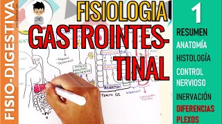 FISIOLOGIA GASTROINTESTINAL  RESUMEN Estructura Control Nervioso SN ENTERICO Sistema Digestivo1 [upl. by Margarete]