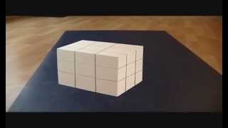 Trippy Illusion Cube [upl. by Tilda]