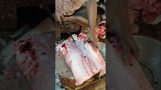 Fish Cutting Skills  Amazing 20KG Giant Spotted Grouper Fish Cutting Live  Part2 shorts fish [upl. by Oneal]