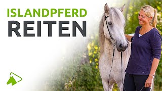 Islandpferde reiten Der Grundkurs  wehorse [upl. by Assilat]