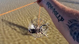 May Yabby Jackpot I Caught More Yabbies Than I Expected In May [upl. by Ahsiliw]