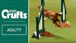 Agility  Championship Final  Crufts 2020 [upl. by Gitlow]