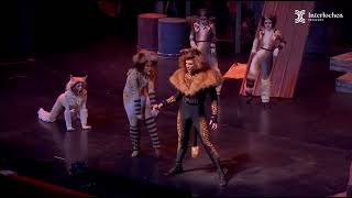 The Rum Tum Tugger  Cats the Musical TJ McCarthy [upl. by Idalia692]