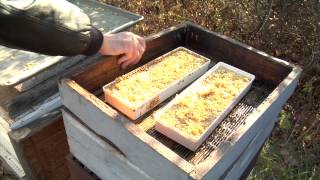 Winterizing Bee Hives Part 1  Fall Feeding [upl. by Gulick]