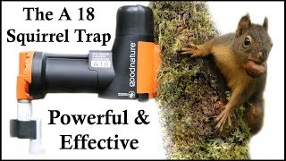 The A18 Squirrel Destroyer  A Powerful amp Effective CO2 Squirrel Trap  Mousetrap Monday [upl. by Wendel]