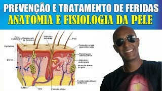 PREVENÇÃO E TRATAMENTO DE FERIDAS  ANATOMIA DA PELE [upl. by Neelrahc]