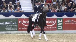 For Final  KampK CUP 2017 HENGSTSTATION RÜSCHER KONERMANN [upl. by Swenson]