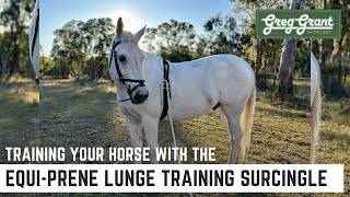 Training Your Horse with the EquiPrene Lunge Training Surcingle  Greg Grant Saddlery [upl. by Trudy]