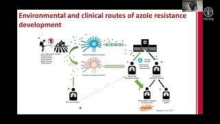 Antifungal resistance what’s all the hyphae [upl. by Hamid]