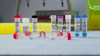 How to Invitrogen ReadyLabel Antibody Labeling Kits Protocol [upl. by Nairahcaz740]