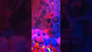 New tank mates  New tank setup  Colour full fishes  Best tank for beginners  happyfish 😄 [upl. by Massie]