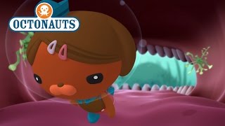 Octonauts The Cave with Teeth [upl. by Sakiv746]