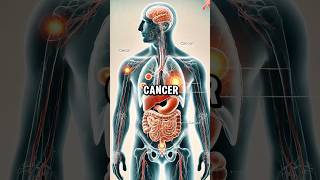 Top 10 AntiCancer Foods You Must Include in Your Diet health healthtips [upl. by Ylrebnik]