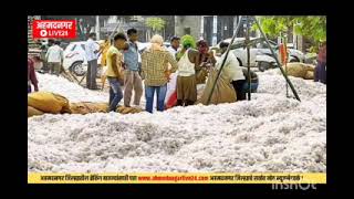 kapus bajar bhav कापूस बाजार भाव farmer शेतकरी कपस farming [upl. by Cattan910]