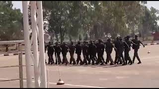 The Nigerian Army on drill display militarydrill [upl. by Ennoval]