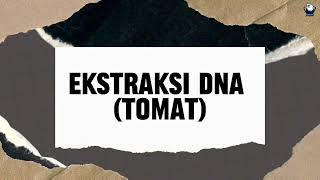 Laporan Praktikum Ekstraksi DNA dari Tomat [upl. by Labinnah]