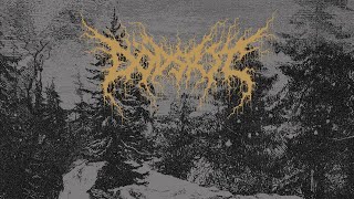 Dödsrit  Mortal Coil Full Album Premiere [upl. by Akira]