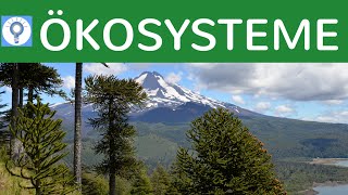 Was ist ein Ökosystem Eigenschaften amp Kategorien von Ökosystemen  Ökosysteme 1 [upl. by Goody]