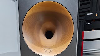 quotFIRST LOOK AT THE ZINGALI ACOUSTICS TWENTY EVO 12squot 🎧 [upl. by Radman]