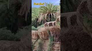 Park Guell in Barcelona Spain 🇪🇸🏞️ barcelona spain Europe travel parkguell [upl. by Aisul]