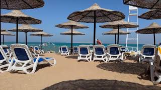 Ivy Cyrene Island Resort 🏝️ Sea College Dive Club 🤿 🐠 Sharm el Sheikh 🇪🇬 Egypt ☀️ April 2024 [upl. by Phira]