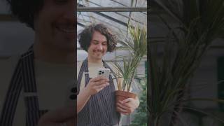 Planty  LAppli IA Qui Révolutionne le Jardinage 🌿🤖 – Votre Guide pour un Potager Parfait [upl. by Anirbys]